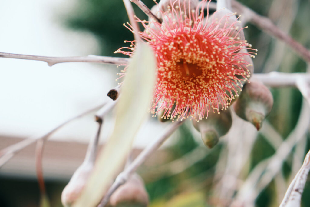 Photography Lessons 5